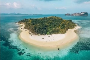 Phuket: Phi Phi & Bamboo Islands Schnorcheln mit dem Schnellboot