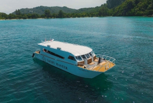 Phuket: Phi Phi, Bamboo y Maithon en catamarán Premium Speed