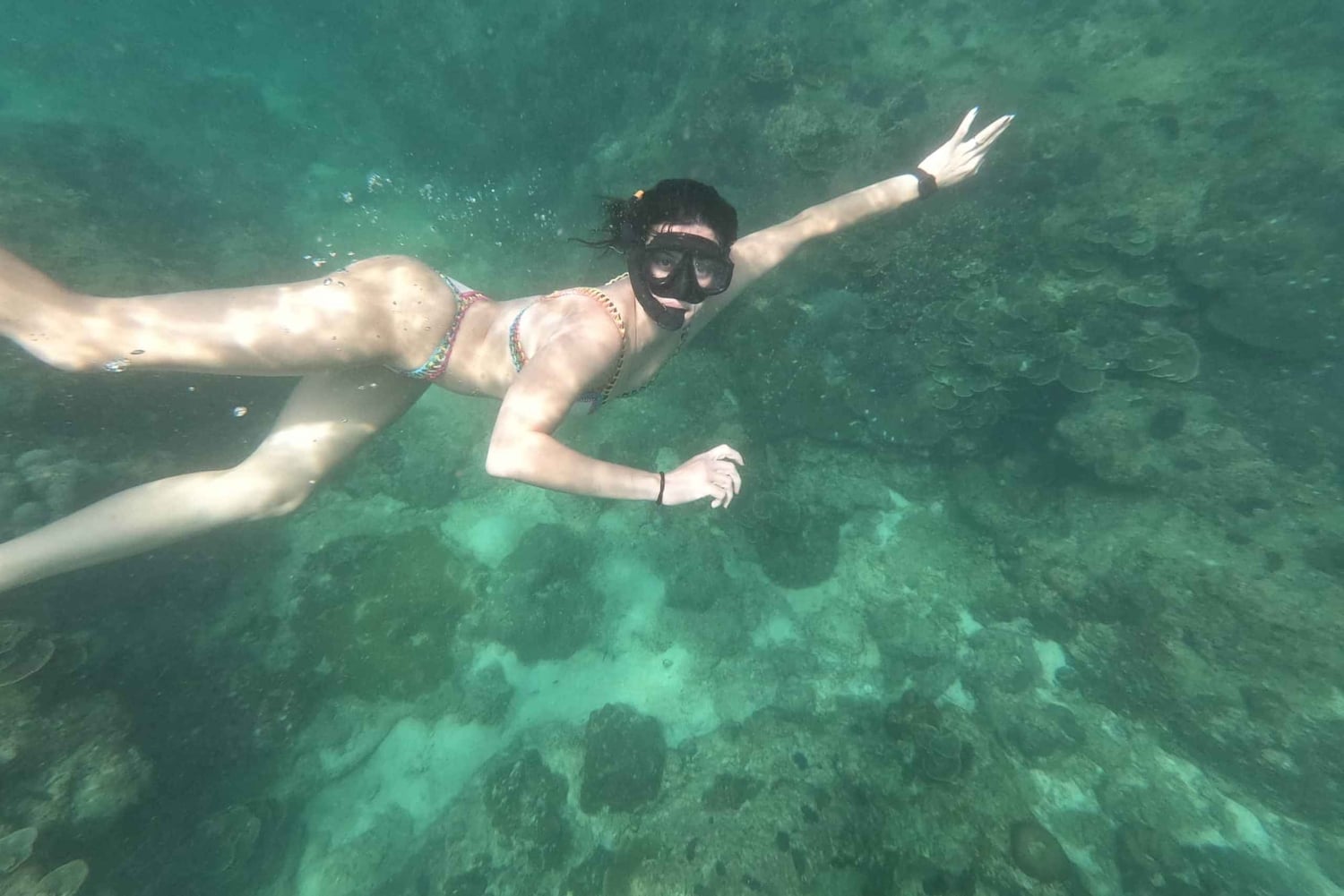 푸껫: 피피섬 상어 관찰과 석양 투어