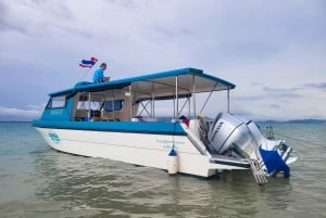 푸껫: 피피섬 상어 관찰과 석양 투어