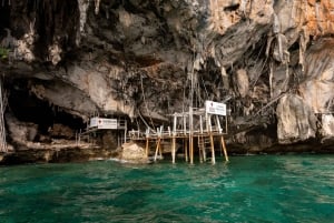 푸껫: 피피섬 상어 관찰과 석양 투어