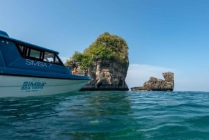 푸껫: 피피섬 상어 관찰과 석양 투어