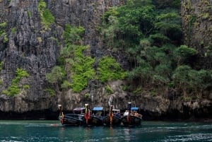 푸껫: 피피섬 상어 관찰과 석양 투어