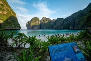 푸껫: 피피섬 상어 관찰과 석양 투어