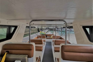 푸켓 피피섬 일출 그룹 스피드 보트 투어