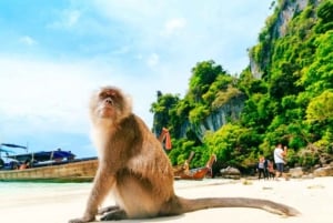 Phuket : Les îles Phi Phi, l'île aux Bambous et le lagon de Pileh ...