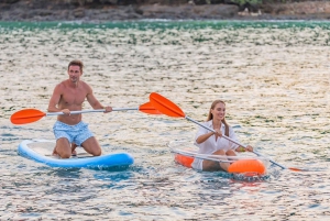 Phuket: Dagsutflykt till Phi Phi-öarna med måltider och transfer