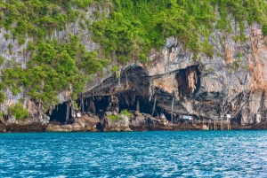 Phuket: Dagsutflykt till Phi Phi-öarna med måltider och transfer