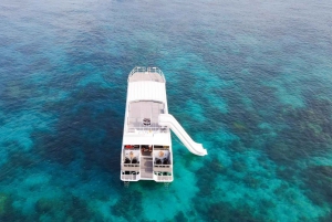 Phuket: Dagsutflykt till Phi Phi-öarna med måltider och transfer