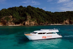 Phuket: Dagsutflykt till Phi Phi-öarna med måltider och transfer