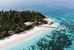 Phuket: Dagsutflykt till Phi Phi-öarna med måltider och transfer