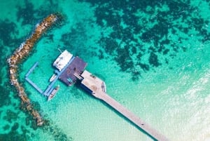 Phuket: Dagsutflykt till Phi Phi-öarna med måltider och transfer