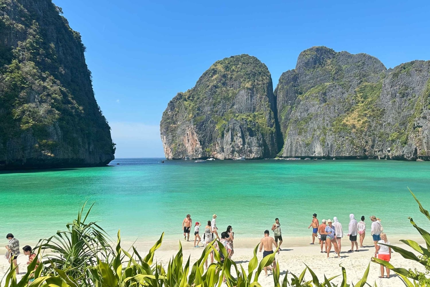 Phuket: Phi Phin pikavenekierros, lounas ja oma auto