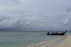 Phuket: Phi Phin pikavenekierros, lounas ja oma auto