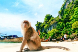 Phuket: Phi Phi ja Khai Island Speedboat tai katamaraanikierros.