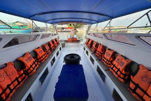 Phuket: Phi Phi, Khai e Maya Bay con pranzo