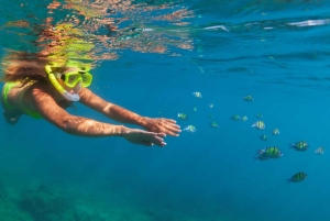 Phuket: Phi Phi, Khai e Maya Bay con pranzo