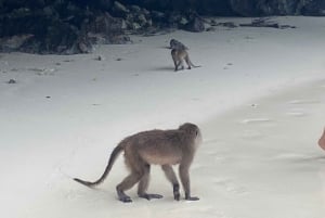 Phuket: Tour privato in motoscafo delle isole Phi Phi e Khai