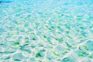 Phuket: Tour privato in motoscafo delle isole Phi Phi e Khai