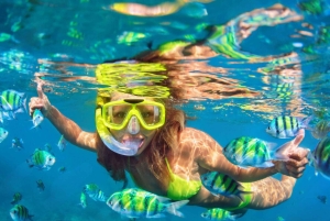 Phuket: Phi Phi Khai tai Maiton Island pikaveneellä/katamaraanilla