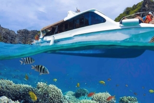 Phuket: Phi Phi Khai tai Maiton Island pikaveneellä/katamaraanilla