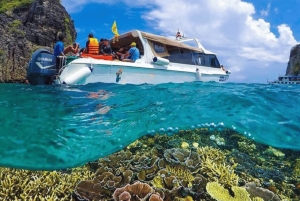 Phuket: Phi Phi Khai tai Maiton Island pikaveneellä/katamaraanilla