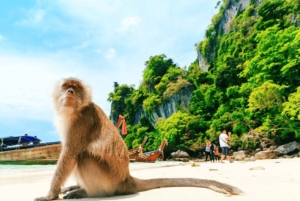 Phuket: Phi Phi Khai tai Maiton Island pikaveneellä/katamaraanilla