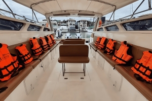 Phuket: Phi Phi Khai tai Maiton Island pikaveneellä/katamaraanilla