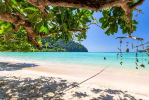Phuket: Phi Phi Khai tai Maiton Island pikaveneellä/katamaraanilla