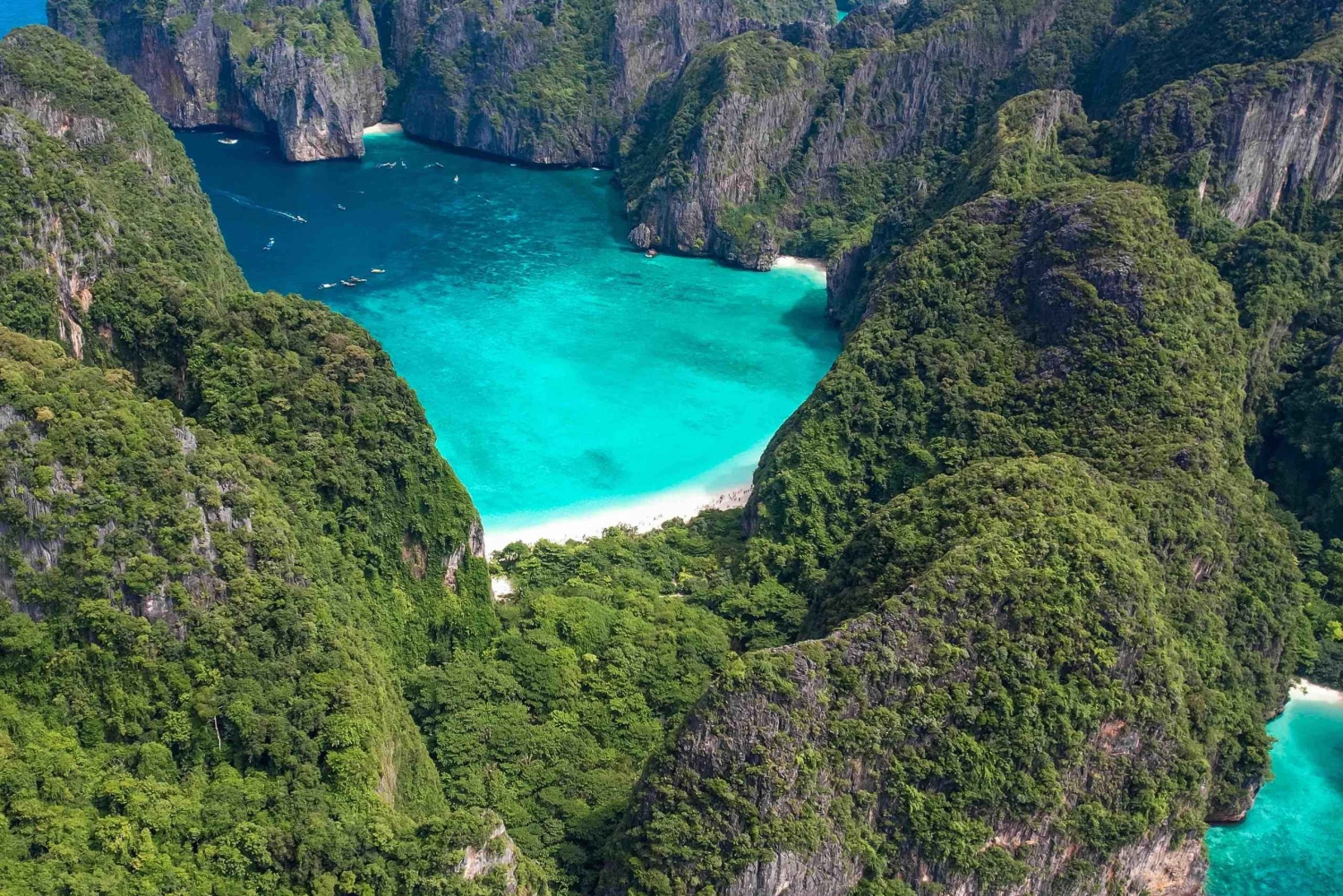 Phuket: Phi Phi, Maya og Bamboo med premium hurtigkatamaran