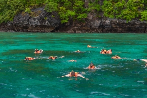 Phuket: Phi Phi, Maya og Bamboo med premium hurtigkatamaran