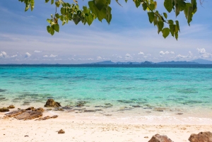 Phuket: Phi Phi, Maya og Bamboo med premium hurtigkatamaran