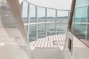 Phuket: Phi Phi, Maya og Bamboo med premium hurtigkatamaran