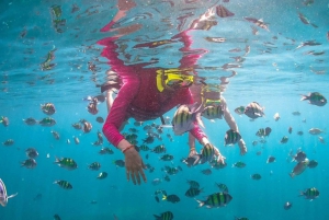 Phuket: Phi Phi, Maya & Bamboo Island by Speed Boat Charter