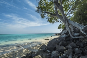 푸켓; 피피, 마야 베이, 뱀부 또는 카이 섬 스피드 보트