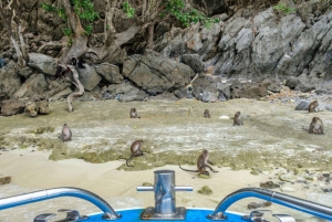 푸켓; 피피, 마야 베이, 뱀부 또는 카이 섬 스피드 보트