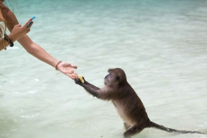 푸켓; 피피, 마야 베이, 뱀부 또는 카이 섬 스피드 보트