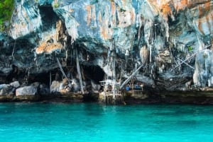 Phuket; Phi Phi, Maya Bay, Bamboo oder Khai Island Speedboat