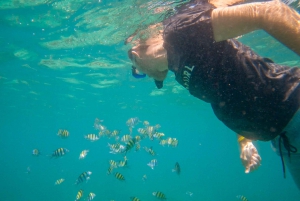 Phuket: Phi Phi, Maya Bay Inclusief transfer & lunch met zeezicht