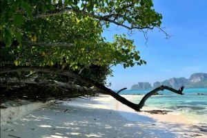 푸켓 피피, 마야, 카이 또는 마이톤 또는 뱀부 아일랜드 투어