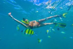 Phuket: Phi Phi Islands Tour by Speedboat & Lunch Buffet