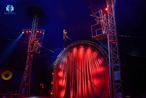 Phuket: Inträdesbiljett till Phuket Circus