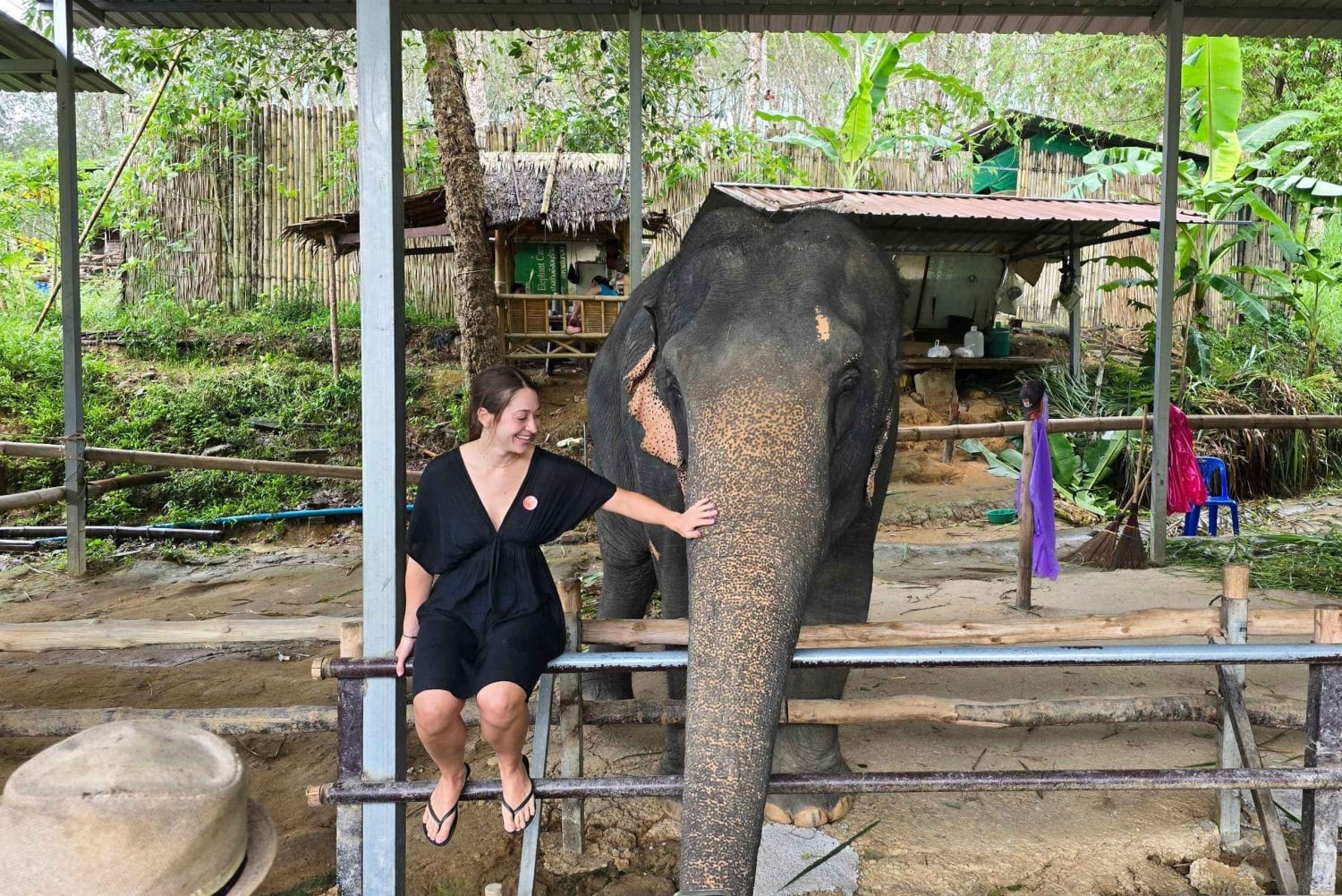 Phuket: excursão ecológica ao santuário de cuidados com elefantes de Phuket