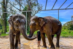 Phuket: excursão ecológica ao santuário de cuidados com elefantes de Phuket