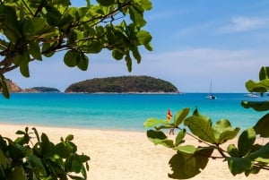 Phuket: Phuket Elephant Sanctuary, Wat Chalong og meget mere