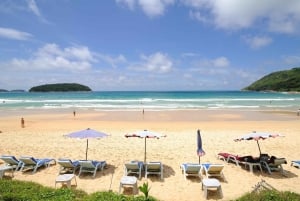 Phuket: Phuket Elephant Sanctuary, Wat Chalong og meget mere