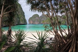 Phuket: Førsteklasses dagstur til Phi Phi-Maya-Bamboo Island