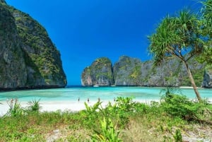 Phuket: Escursione premium di un giorno a Phi Phi-Maya-Bamboo Island