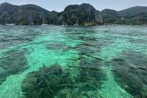 Phuket: Premium Day Trip to Phi Phi-Maya-Bamboo Island