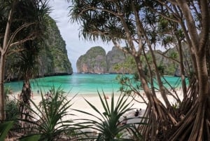 Phuket: Premium Day Trip to Phi Phi-Maya-Bamboo Island